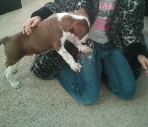 2014-11-21 07.46.21 copy