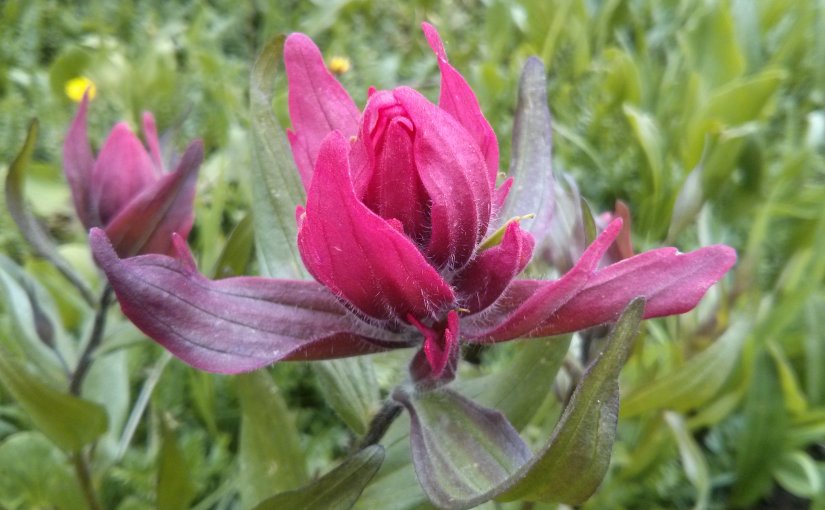 The Art of Being&nbsp;Prepared